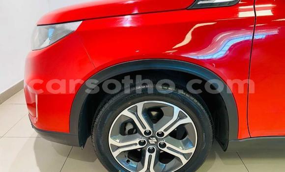 اشتري مستعمل Suzuki Vitara Red سيارة في Maseru في Maseru اشتري مستعمل Suzuki Vitara Red سيارة في Maseru في Maseru