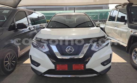 اشتري مستعمل Nissan X–Trail White سيارة في Maseru في Maseru اشتري مستعمل Nissan X–Trail White سيارة في Maseru في Maseru