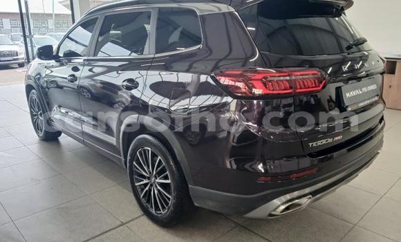 اشتري مستعمل Chery Tiggo 5 Black سيارة في Maseru في Maseru اشتري مستعمل Chery Tiggo 5 Black سيارة في Maseru في Maseru