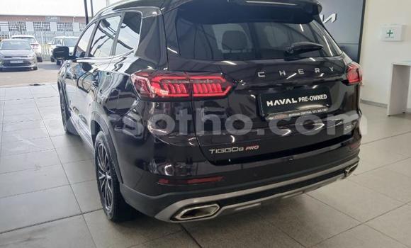 اشتري مستعمل Chery Tiggo 5 Black سيارة في Maseru في Maseru اشتري مستعمل Chery Tiggo 5 Black سيارة في Maseru في Maseru