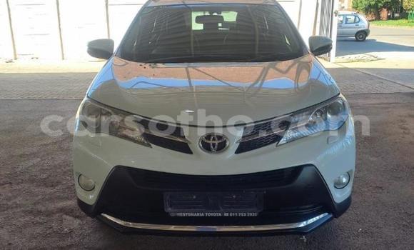 Buy Used Toyota RAV4 White Car in Maseru in Maseru