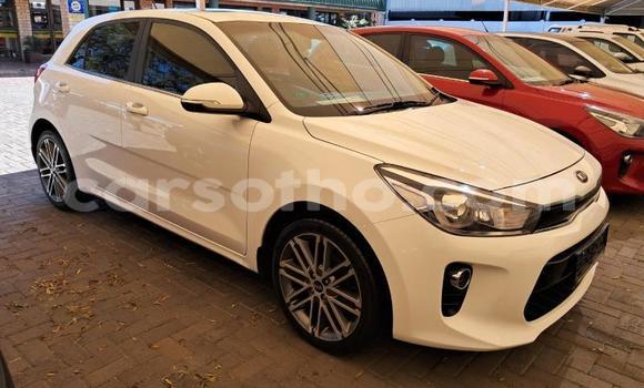 Buy Used Kia Rio White Car in Maseru in Maseru Buy Used Kia Rio White Car in Maseru in Maseru