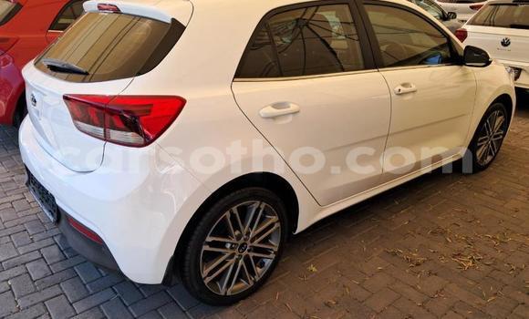 Buy Used Kia Rio White Car in Maseru in Maseru Buy Used Kia Rio White Car in Maseru in Maseru