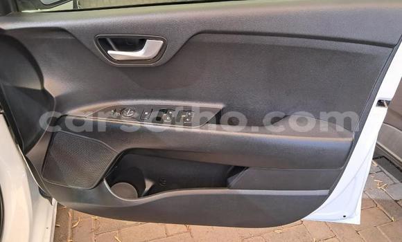 Buy Used Kia Rio White Car in Maseru in Maseru Buy Used Kia Rio White Car in Maseru in Maseru