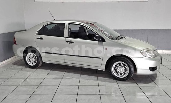 Buy Used Toyota Corolla Silver Car in Maseru in Maseru