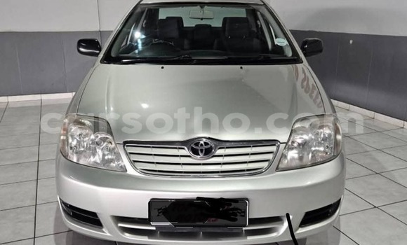 Buy Used Toyota Corolla Silver Car in Maseru in Maseru Buy Used Toyota Corolla Silver Car in Maseru in Maseru