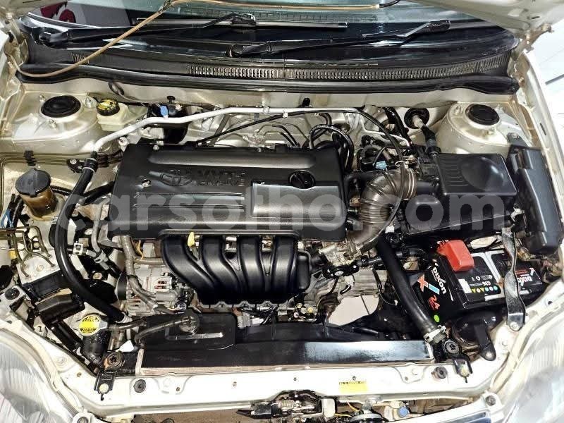 Big with watermark toyota corolla maseru maseru 30868