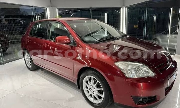 Buy Used Toyota Corolla Red Car in Maseru in Maseru Buy Used Toyota Corolla Red Car in Maseru in Maseru