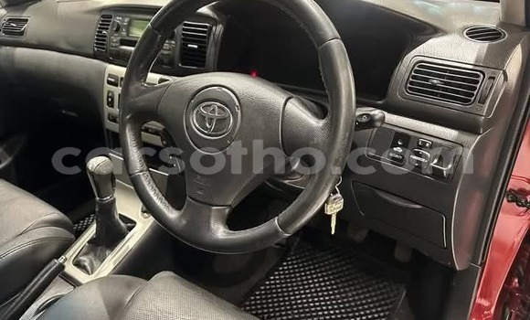 Buy Used Toyota Corolla Red Car in Maseru in Maseru Buy Used Toyota Corolla Red Car in Maseru in Maseru