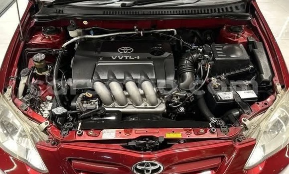 Buy Used Toyota Corolla Red Car in Maseru in Maseru Buy Used Toyota Corolla Red Car in Maseru in Maseru