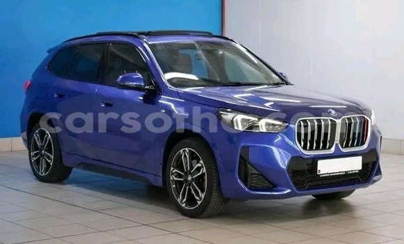Buy Used BMW X1 Blue Car in Maseru in Maseru Buy Used BMW X1 Blue Car in Maseru in Maseru