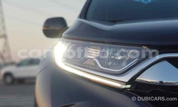 Buy Import Honda C Other Bike in Import - Dubai in Maseru Buy Import Honda C Other Bike in Import - Dubai in Maseru