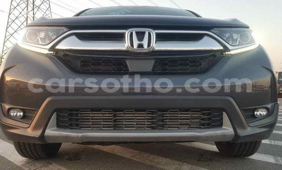 Buy Import Honda C Other Bike in Import - Dubai in Maseru Buy Import Honda C Other Bike in Import - Dubai in Maseru