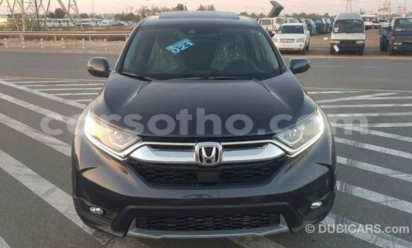 Buy Import Honda C Other Bike in Import - Dubai in Maseru Buy Import Honda C Other Bike in Import - Dubai in Maseru