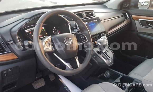 Buy Import Honda C Other Bike in Import - Dubai in Maseru Buy Import Honda C Other Bike in Import - Dubai in Maseru