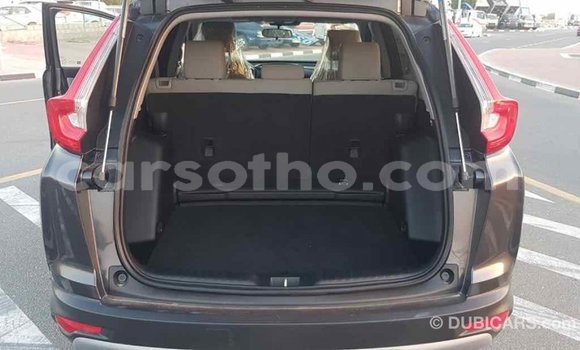 Buy Import Honda C Other Bike in Import - Dubai in Maseru Buy Import Honda C Other Bike in Import - Dubai in Maseru