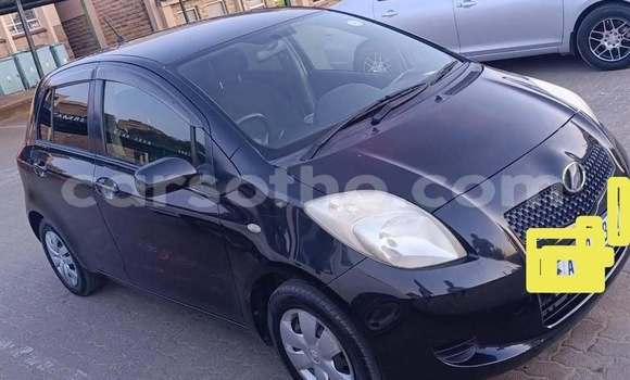 Sayi Na hannu Toyota Vitz Black Mota in Maseru a Maseru Sayi Na hannu Toyota Vitz Black Mota in Maseru a Maseru