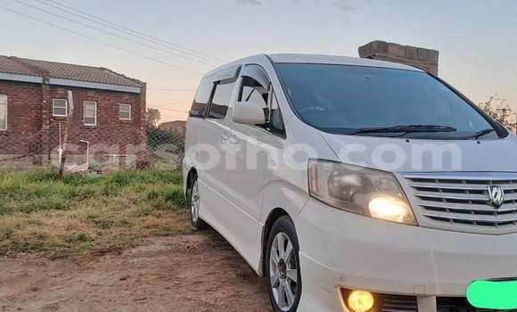 اشتري مستعمل Toyota Alphard White سيارة في Maseru في Maseru