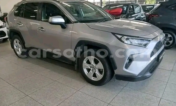 Buy Used Toyota RAV4 Silver Car in Maseru in Maseru Buy Used Toyota RAV4 Silver Car in Maseru in Maseru