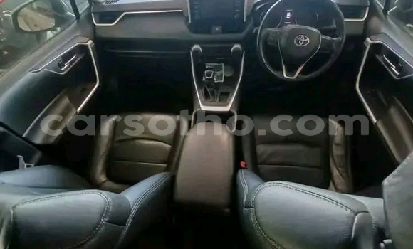 Buy Used Toyota RAV4 Silver Car in Maseru in Maseru Buy Used Toyota RAV4 Silver Car in Maseru in Maseru