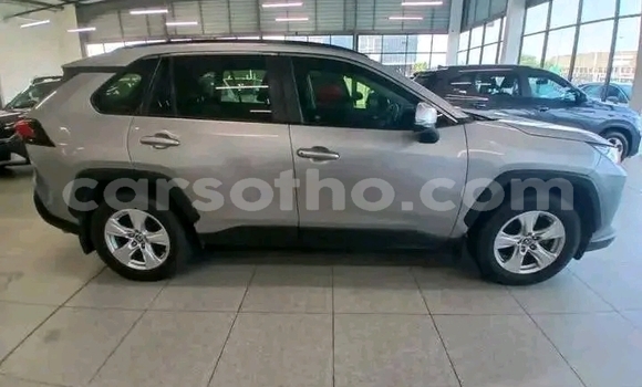 Buy Used Toyota RAV4 Silver Car in Maseru in Maseru Buy Used Toyota RAV4 Silver Car in Maseru in Maseru