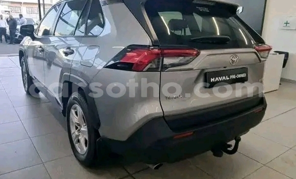 Buy Used Toyota RAV4 Silver Car in Maseru in Maseru Buy Used Toyota RAV4 Silver Car in Maseru in Maseru