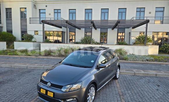 Buy Used Volkswagen Polo Silver Car in Maseru in Maseru Buy Used Volkswagen Polo Silver Car in Maseru in Maseru