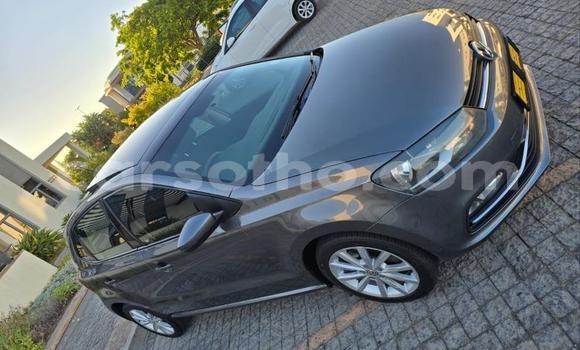 Acheter Occasion Voiture Volkswagen Polo Gris à Maseru, Maseru Acheter Occasion Voiture Volkswagen Polo Gris à Maseru, Maseru