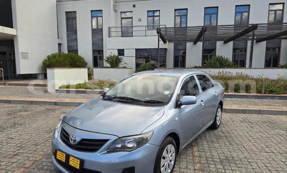Buy Used Toyota Corolla Blue Car in Maseru in Maseru Buy Used Toyota Corolla Blue Car in Maseru in Maseru