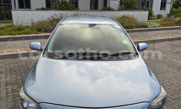 Buy Used Toyota Corolla Blue Car in Maseru in Maseru Buy Used Toyota Corolla Blue Car in Maseru in Maseru