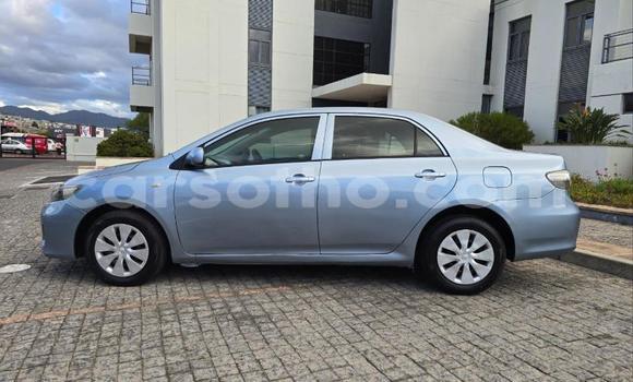 Buy Used Toyota Corolla Blue Car in Maseru in Maseru Buy Used Toyota Corolla Blue Car in Maseru in Maseru