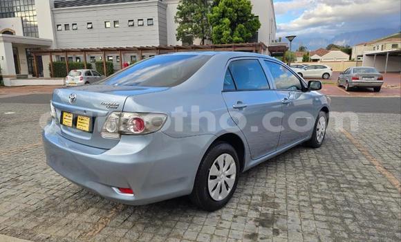 Buy Used Toyota Corolla Blue Car in Maseru in Maseru Buy Used Toyota Corolla Blue Car in Maseru in Maseru