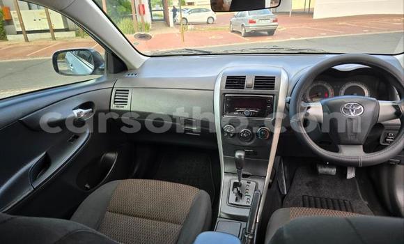 Buy Used Toyota Corolla Blue Car in Maseru in Maseru Buy Used Toyota Corolla Blue Car in Maseru in Maseru