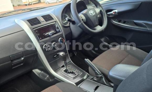 Buy Used Toyota Corolla Blue Car in Maseru in Maseru Buy Used Toyota Corolla Blue Car in Maseru in Maseru