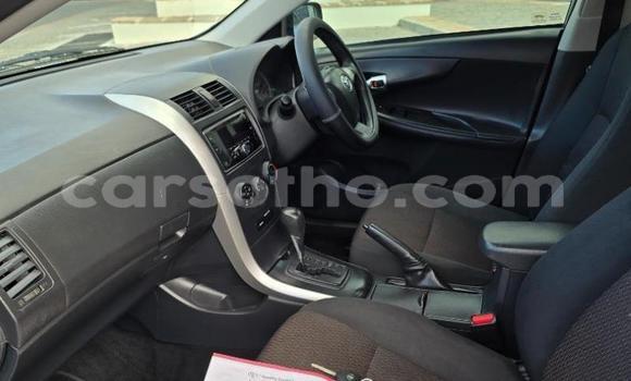 Buy Used Toyota Corolla Blue Car in Maseru in Maseru Buy Used Toyota Corolla Blue Car in Maseru in Maseru