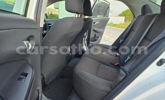 Acheter Occasion Voiture Toyota Corolla Blanc à Maseru, Maseru Acheter Occasion Voiture Toyota Corolla Blanc à Maseru, Maseru