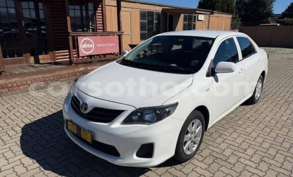 Buy Used Toyota Corolla White Car in Maseru in Maseru Buy Used Toyota Corolla White Car in Maseru in Maseru