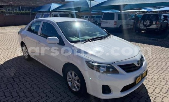 Buy Used Toyota Corolla White Car in Maseru in Maseru Buy Used Toyota Corolla White Car in Maseru in Maseru