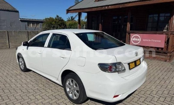 Buy Used Toyota Corolla White Car in Maseru in Maseru Buy Used Toyota Corolla White Car in Maseru in Maseru