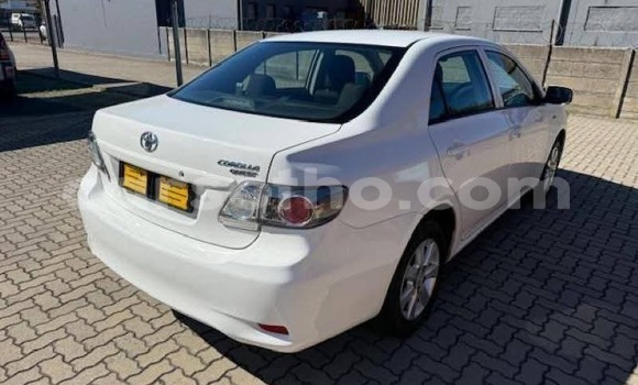 Buy Used Toyota Corolla White Car in Maseru in Maseru Buy Used Toyota Corolla White Car in Maseru in Maseru