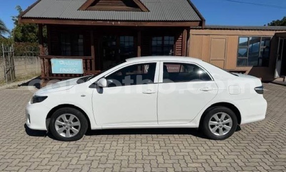 Buy Used Toyota Corolla White Car in Maseru in Maseru Buy Used Toyota Corolla White Car in Maseru in Maseru