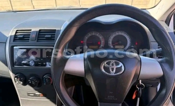 Buy Used Toyota Corolla White Car in Maseru in Maseru Buy Used Toyota Corolla White Car in Maseru in Maseru
