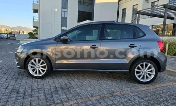 Buy Used Volkswagen Polo Other Car in Maseru in Maseru Buy Used Volkswagen Polo Other Car in Maseru in Maseru