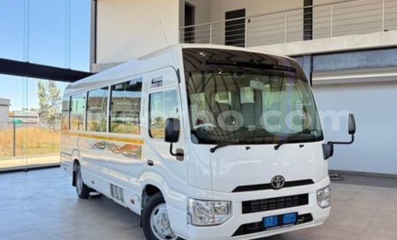 Buy Used Toyota Coaster White Car in Quthing in Butha-Buthe Buy Used Toyota Coaster White Car in Quthing in Butha-Buthe
