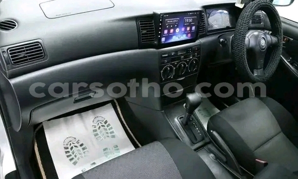 Buy Used Toyota Runx Silver Car in Maseru in Maseru Buy Used Toyota Runx Silver Car in Maseru in Maseru