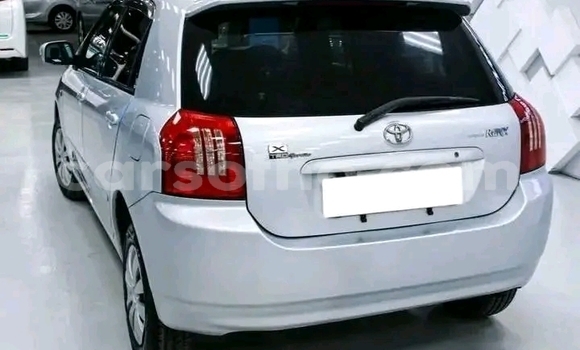 Buy Used Toyota Runx Silver Car in Maseru in Maseru Buy Used Toyota Runx Silver Car in Maseru in Maseru