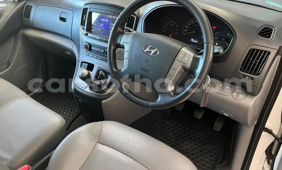 Buy Used Hyundai H1 White Car in Thaba–Tseka in Mafeteng Buy Used Hyundai H1 White Car in Thaba–Tseka in Mafeteng