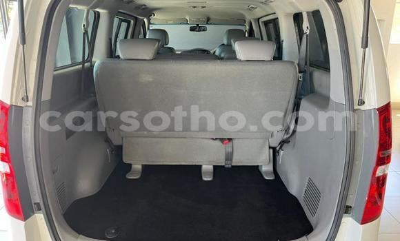 Buy Used Hyundai H1 White Car in Thaba–Tseka in Mafeteng Buy Used Hyundai H1 White Car in Thaba–Tseka in Mafeteng