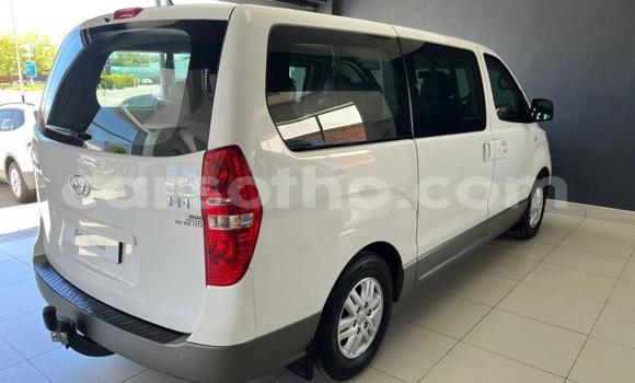 Buy Used Hyundai H1 White Car in Thaba–Tseka in Mafeteng Buy Used Hyundai H1 White Car in Thaba–Tseka in Mafeteng