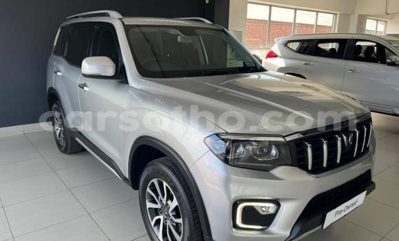Buy Used Mahindra Scorpio Silver Car in Qacha's Nek in Quthing